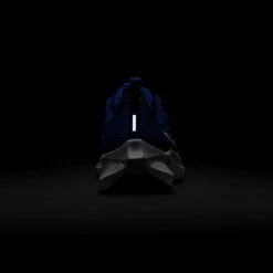 Nike Youth Pegasus 40 Running Shoe - Game Royal/White/Deep Royal - Regular (D) -EveryShoes Shop AURORA DX2498 400 PHSBH200 2000